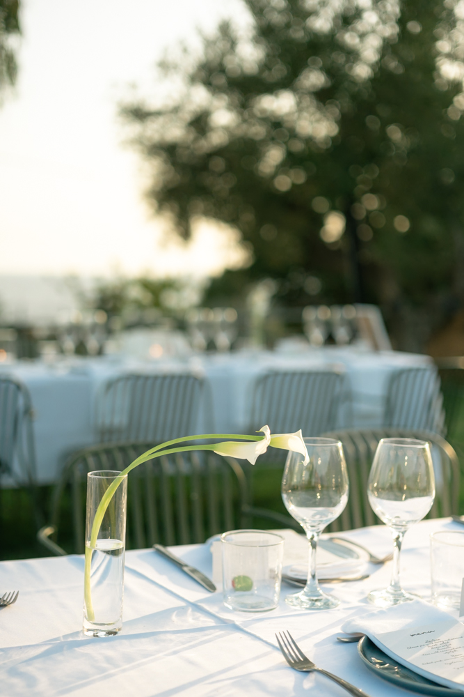 Gintare & Dimitris-101