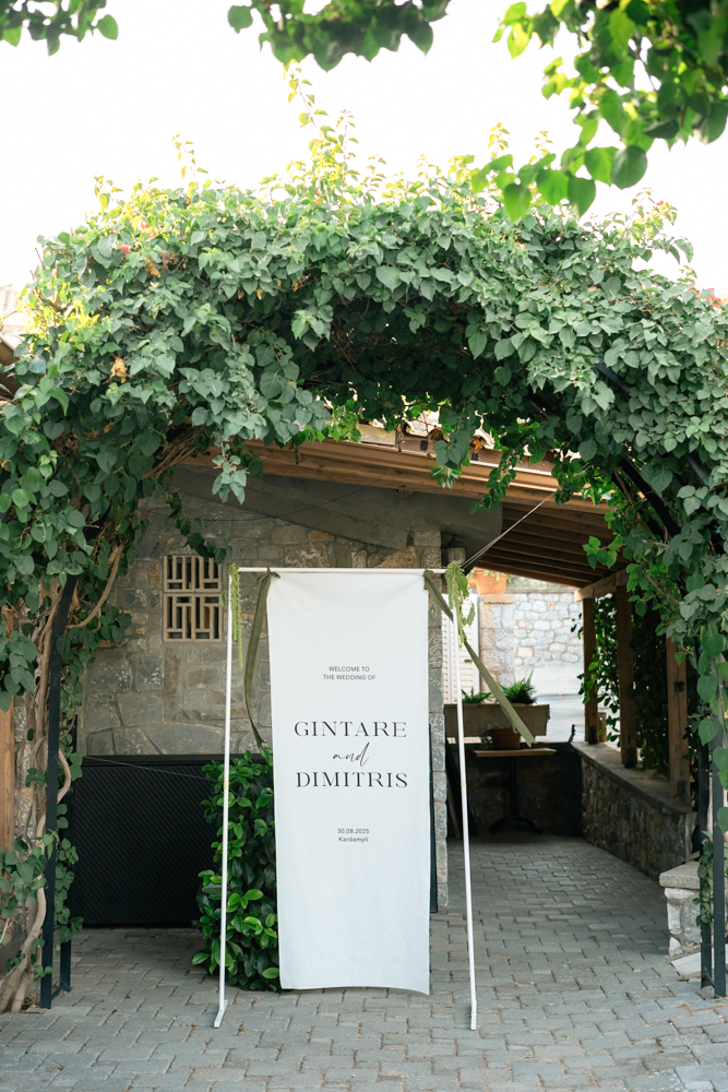 Gintare & Dimitris-102