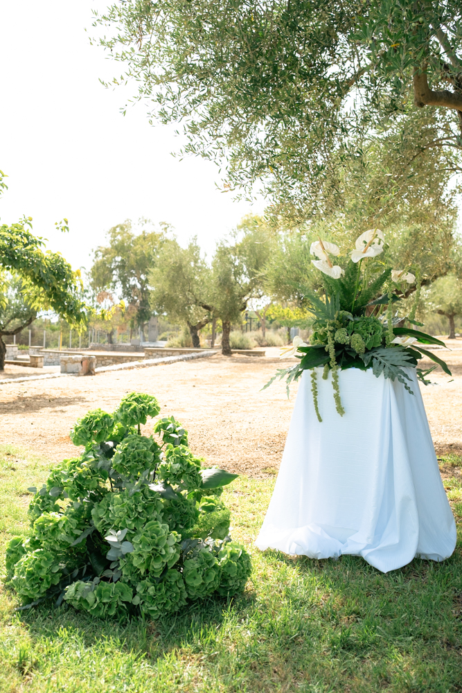 Gintare & Dimitris-33