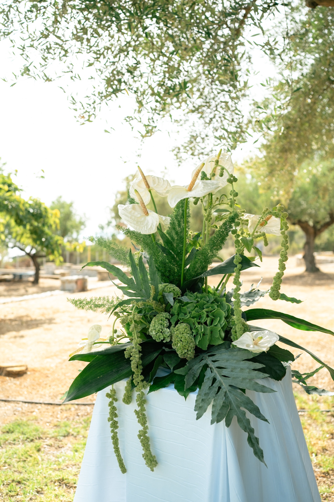 Gintare & Dimitris-34