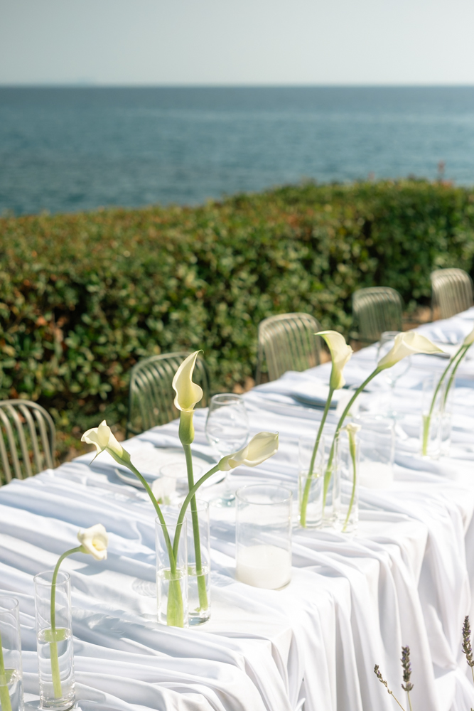 Gintare & Dimitris-40