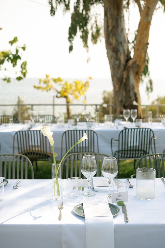 Gintare & Dimitris-44